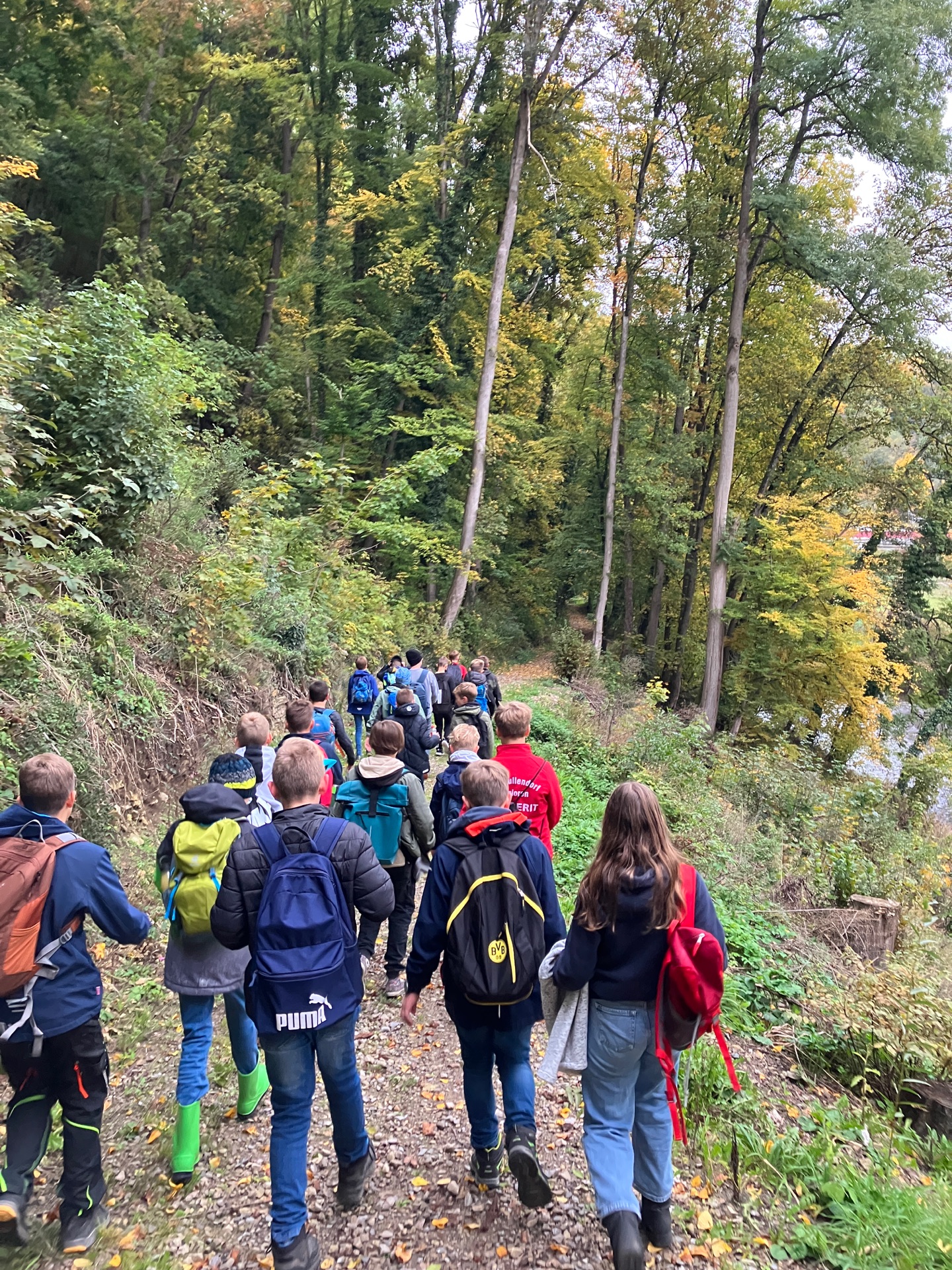 Wanderung Höllsteinsaumpfad
