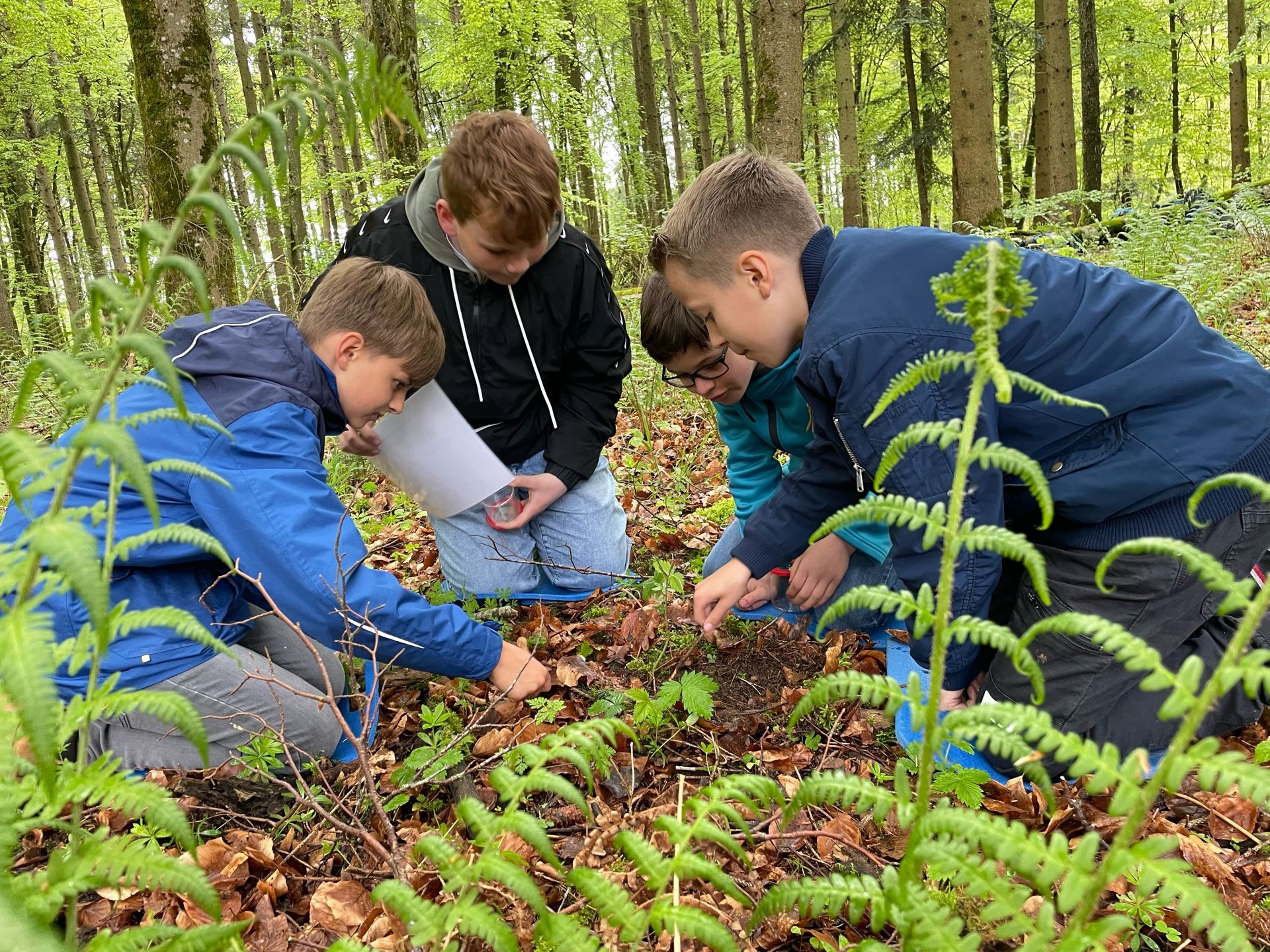 Waldtag-5a
